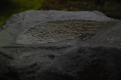 雨