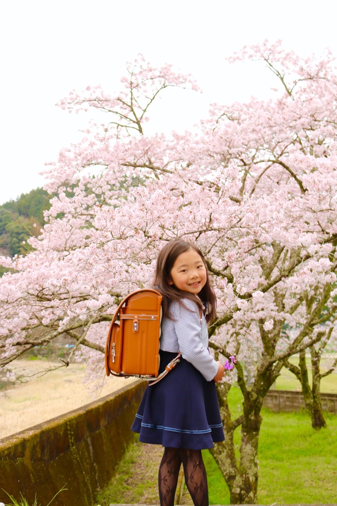 桜満開新入学生