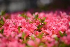 20140529_124724
