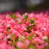 20140529_124724