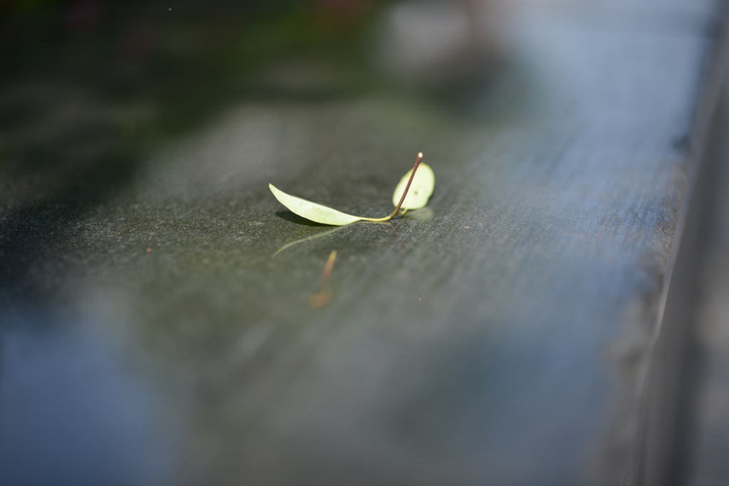 20140529_142139