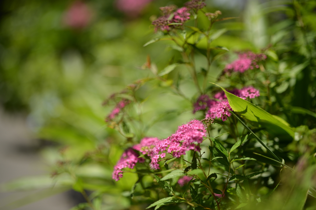 20140529_105906