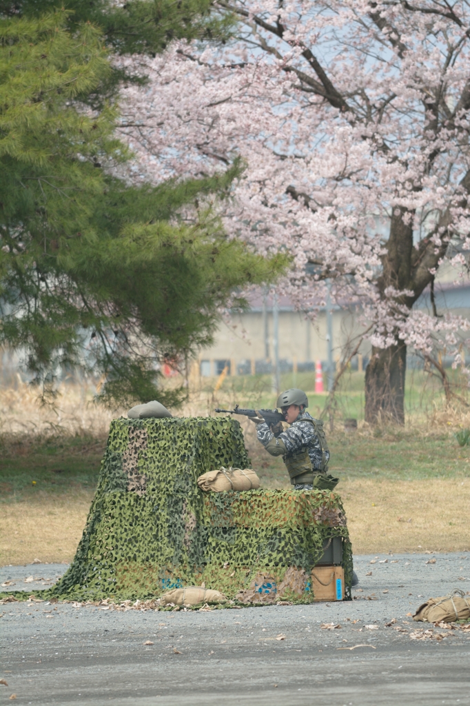 孤軍奮闘