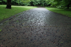 落実と雨と