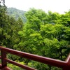 大山の新緑