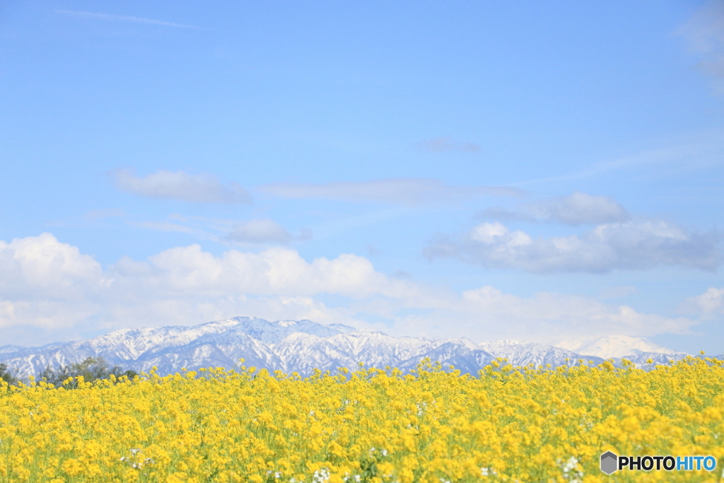 Spring feeling