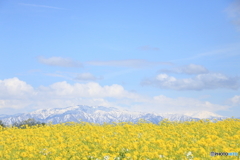 Spring feeling
