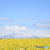 Spring feeling