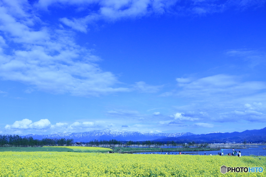 Spring wind