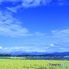 Spring wind