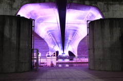 新潟の夜その３（柳都大橋の下）
