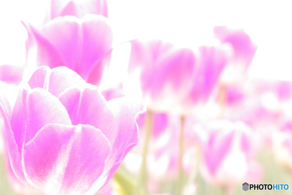 Spring smell