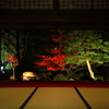 豪農の庭園