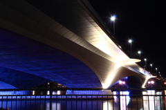 新潟の夜その２（柳都大橋）