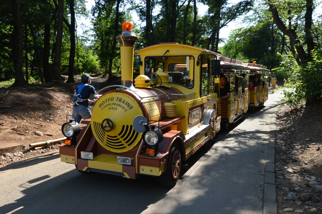 園内を走っているバス
