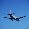 jal