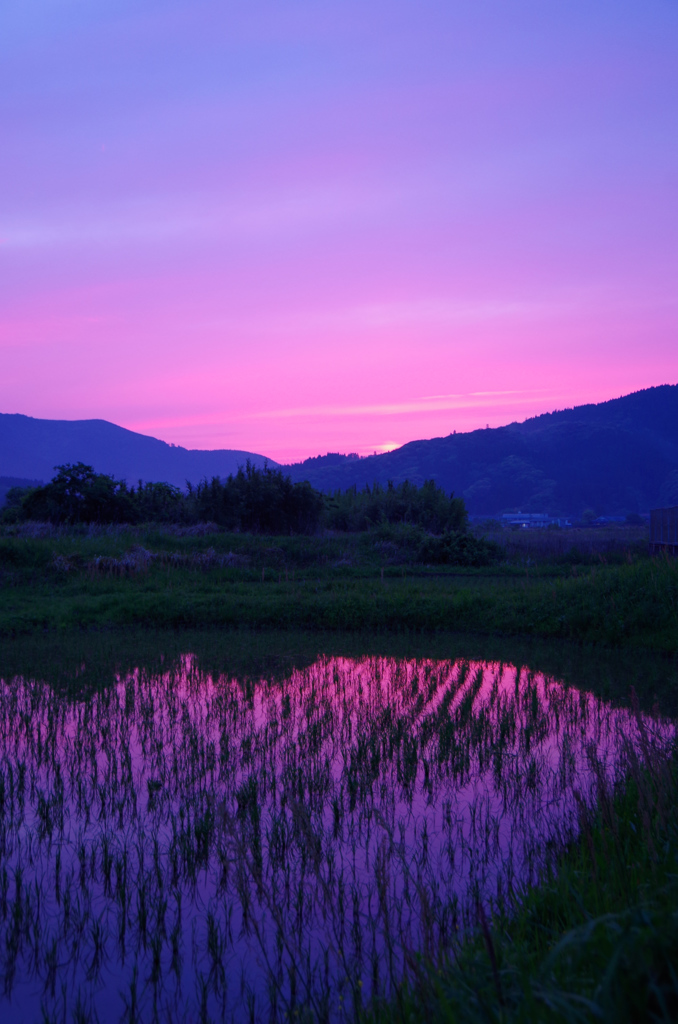 sunset