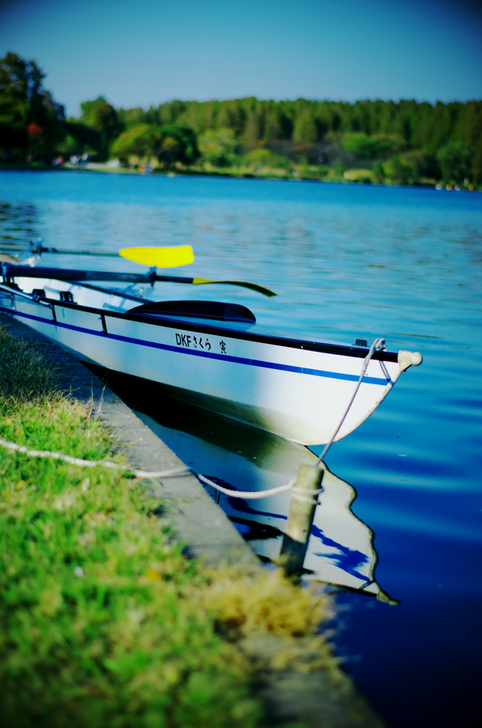 canoe