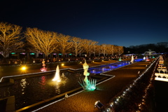 昭和記念公園_イルミネーション６