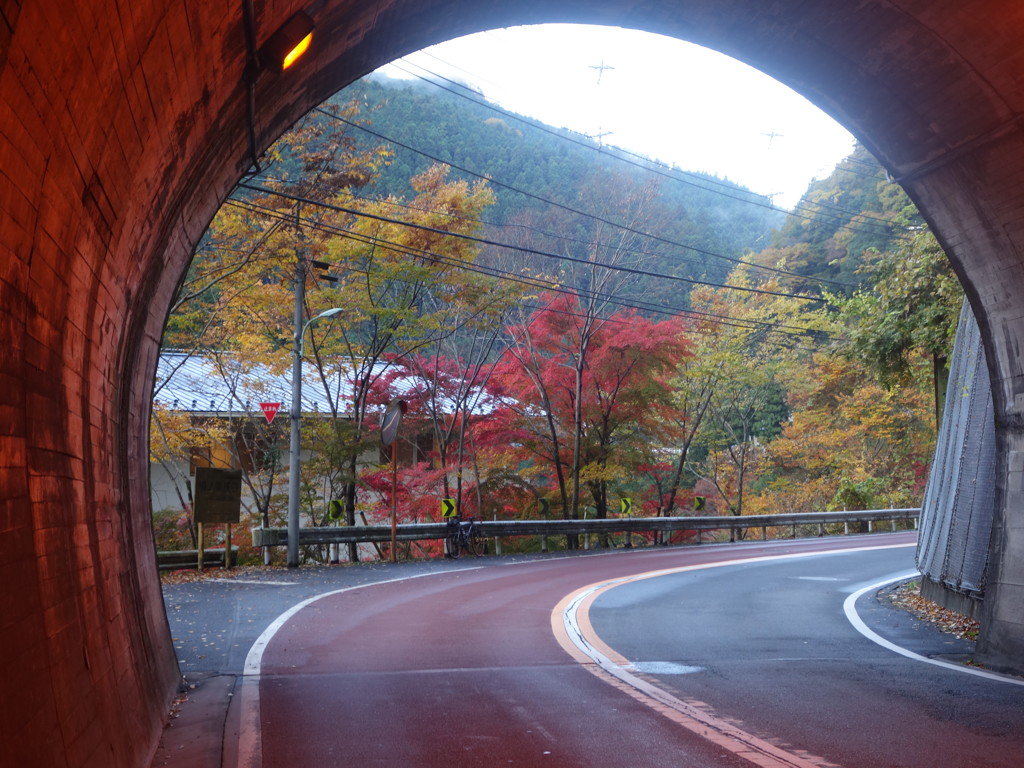 奥多摩の紅葉１