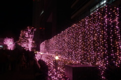 新宿イルミネーション１