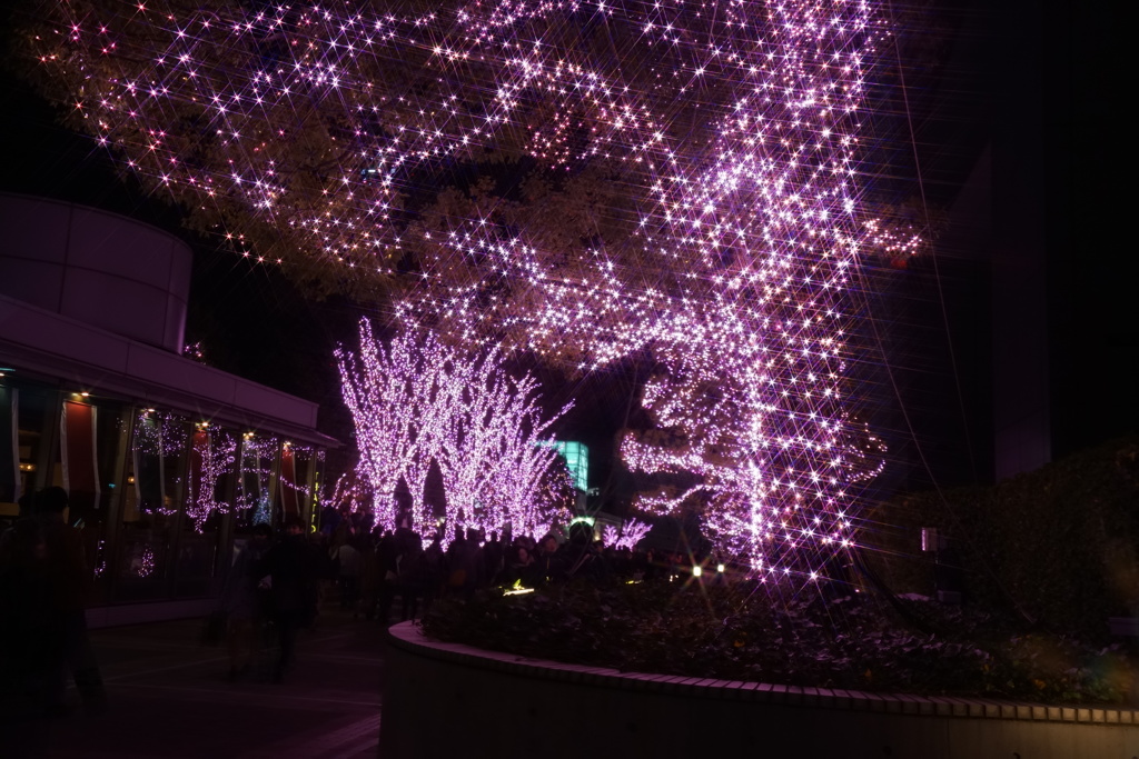 新宿イルミネーション２