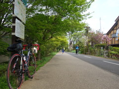 多摩湖自転車道
