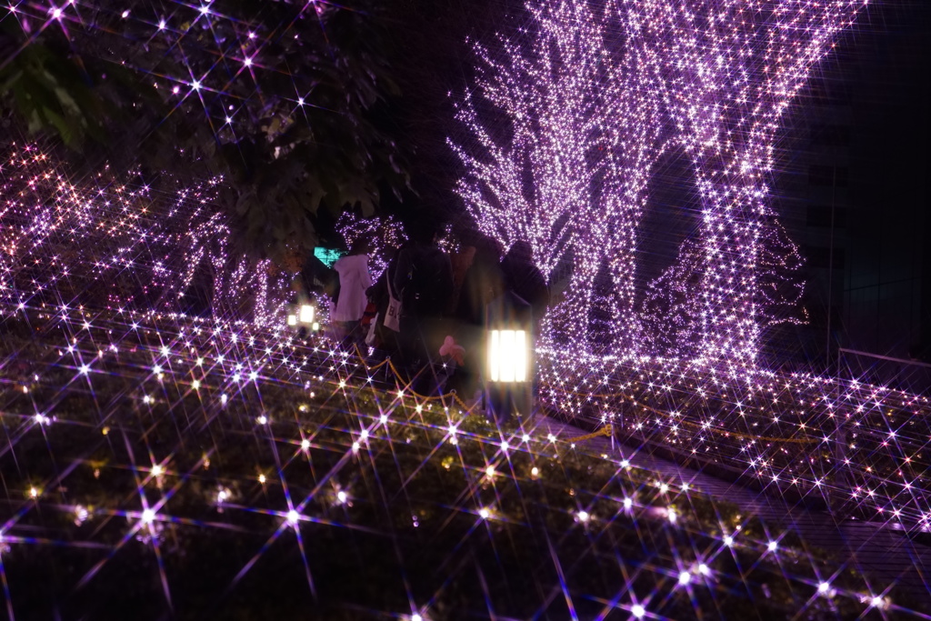 新宿イルミネーション４