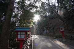 試し撮り