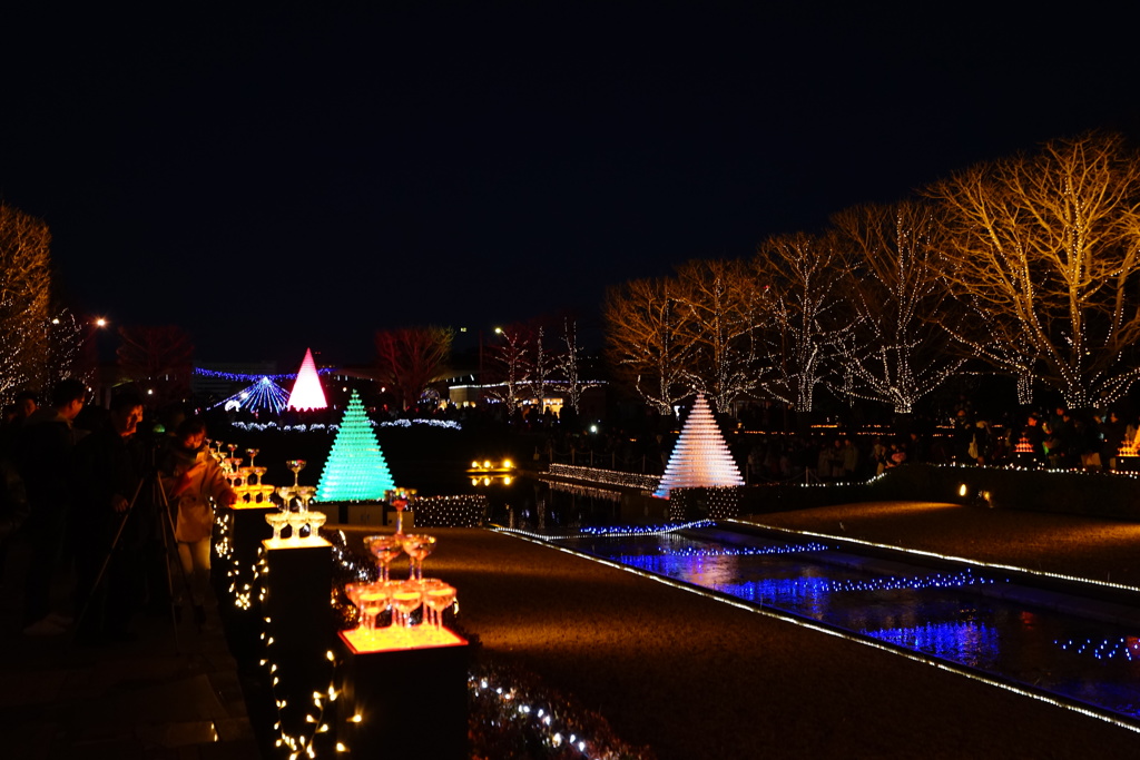 昭和記念公園_イルミネーション４