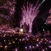新宿イルミネーション５