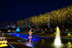昭和記念公園_イルミネーション５