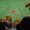 東京ドーム　野球観戦