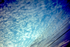 cirrocumulus clouds