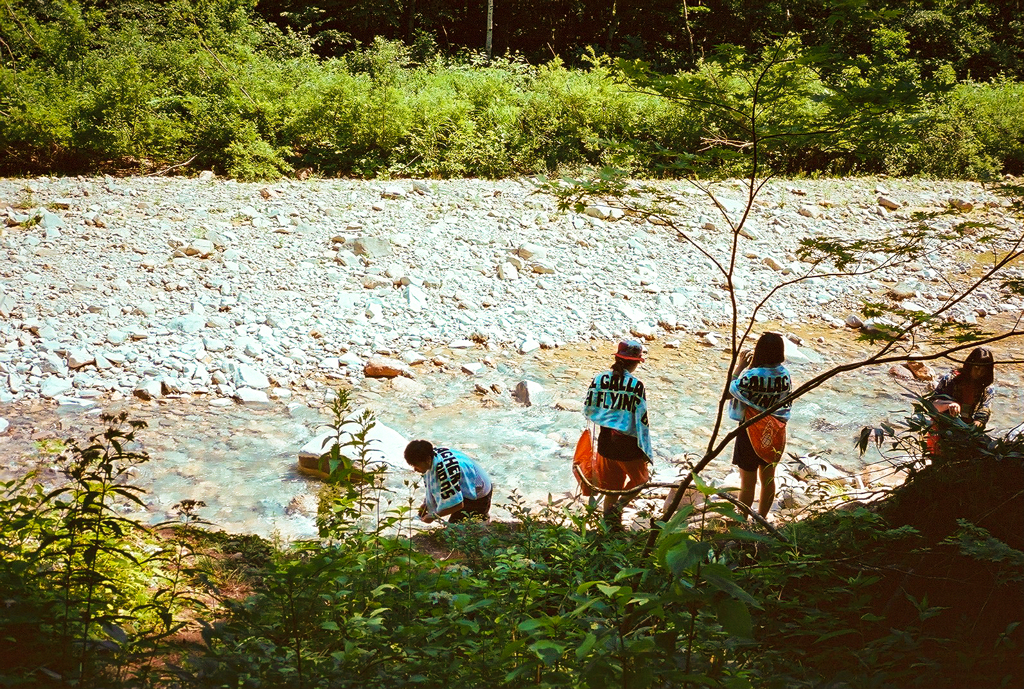 FUJI ROCK FESTIVAL`15 (21)