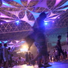 SONIC MANIA