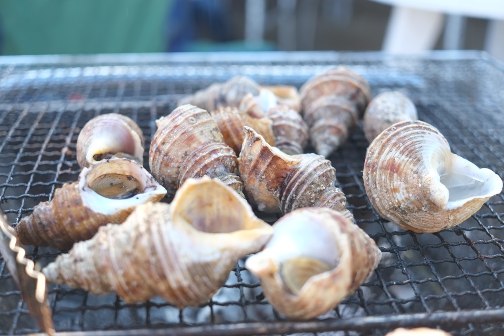 BBQ