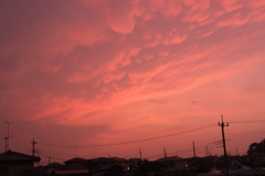 夕焼け