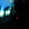 Clione