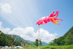 FUJI ROCK FESTIVAL`16 (7)