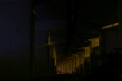 storage_emulated_0_Nikon_WU_Card_D201406