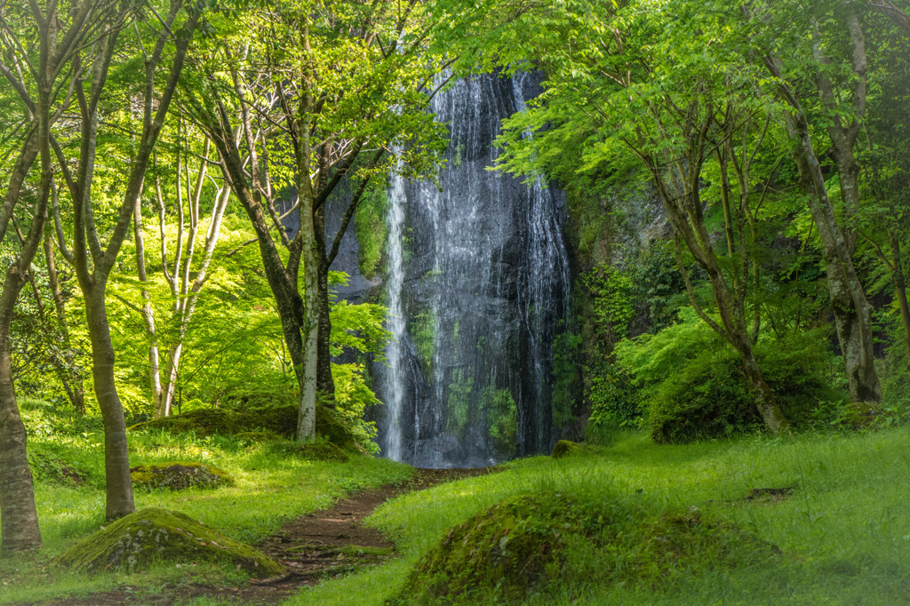 新緑の滝