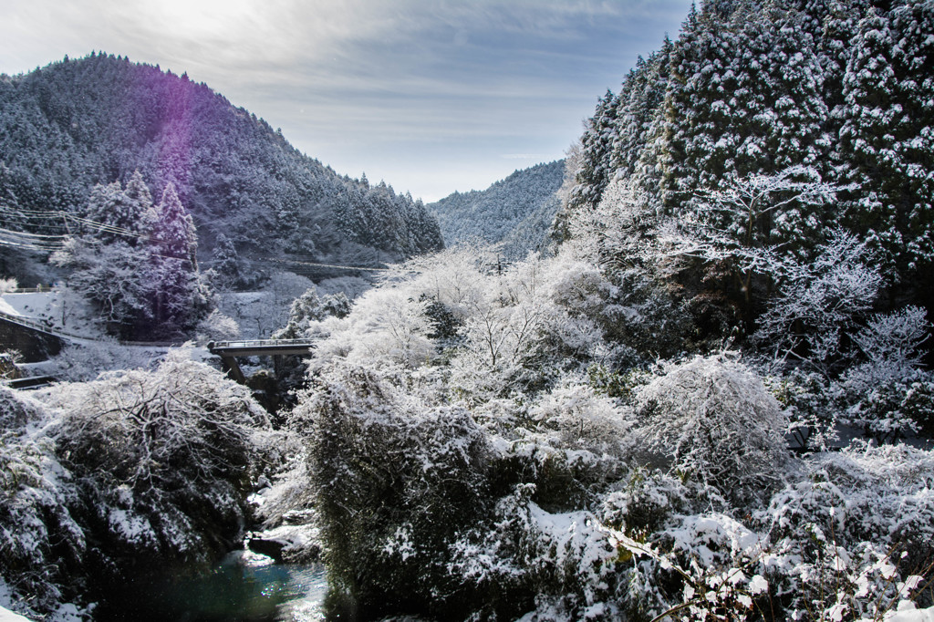 雪景色