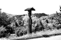 明日香村にて