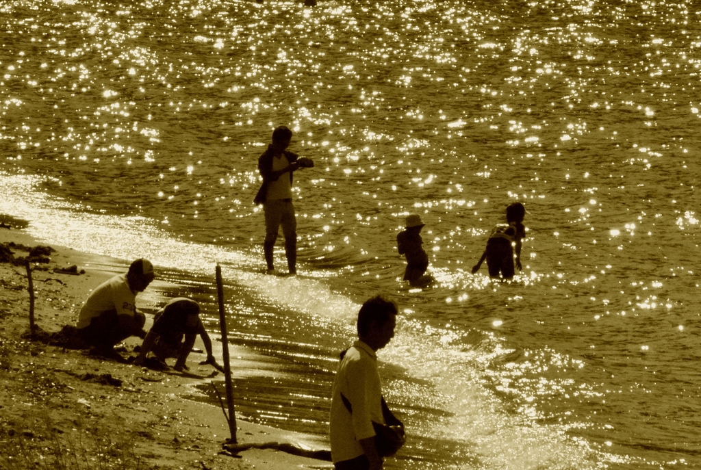 家族