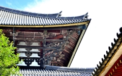 奈良公園