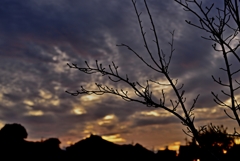 昨日の夕方