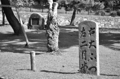 奈良公園