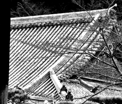 kawara