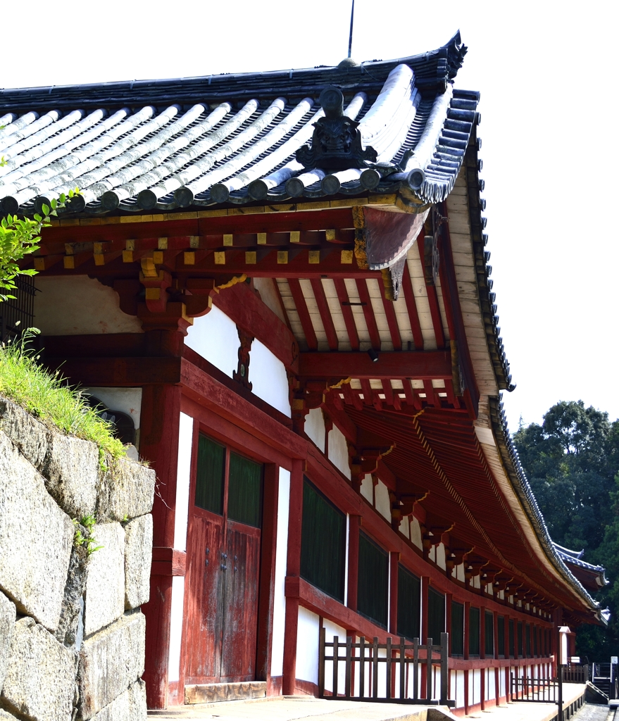 奈良公園